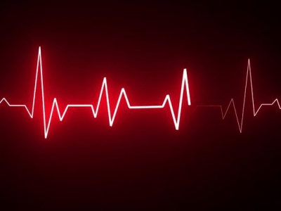 Unlocking the Secrets of  YOUR Longevity – RHR 